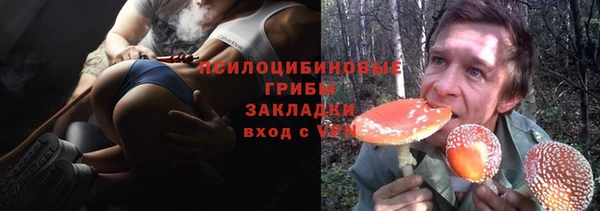 таблы Алзамай