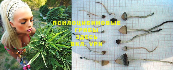 мескалин Алексеевка