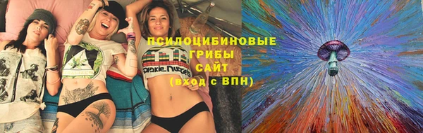 дживик Алексин